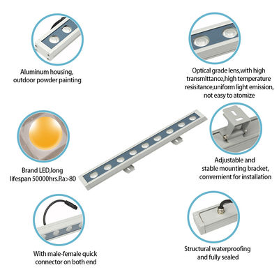 IP65 wodoodporny LED Światło do myjni ściennej Wysokie napięcie 110V 220V LED Kolorowe światło miejskie