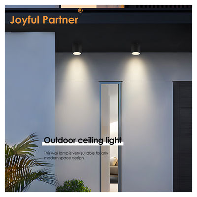 Zewnętrzne światła sufitowe w pomieszczeniach wnętrznych IP65 8W Nawierzchnia zamontowana cylinder kształt chłodny Biały 4000K Z certyfikatem CE ROHS