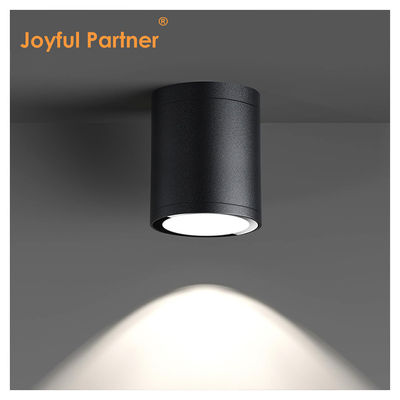 12W COB LED Downlight Cylinder Wall Mount Light Kompaktowy projekt powierzchni naprawy dla zastosowań zewnętrznych