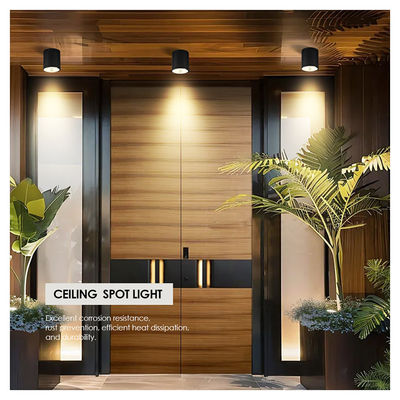 12W COB LED Downlight Cylinder Wall Mount Light Kompaktowy projekt powierzchni naprawy dla zastosowań zewnętrznych